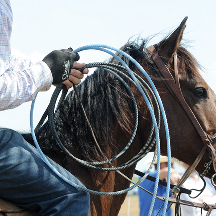 Classic HP Roping Gloves Black