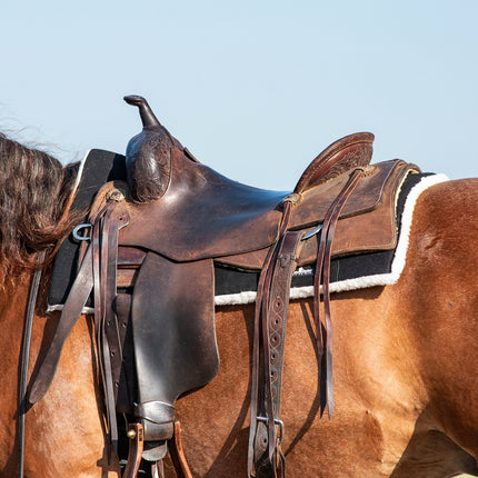Classic Performance Trainer Pad w/ Felt Top Black