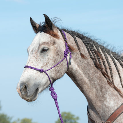 Classic Rope  Halter w/ Lead Purple
