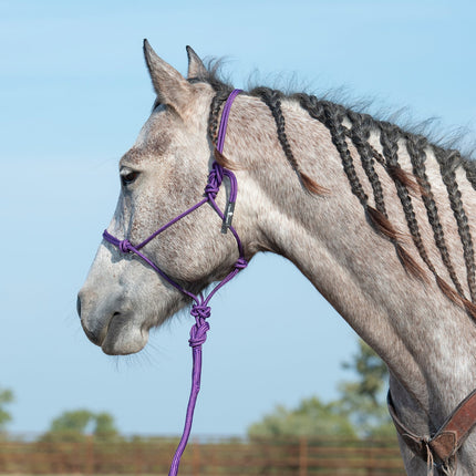 Classic Rope  Halter w/ Lead Purple