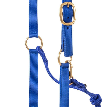 Nylon Rope Halter Blue
