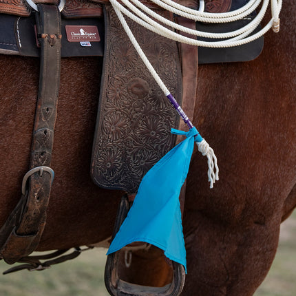 Breakaway Flag Turquoise